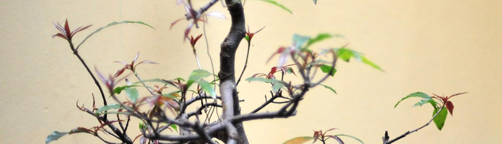 LearnEducationlife4U